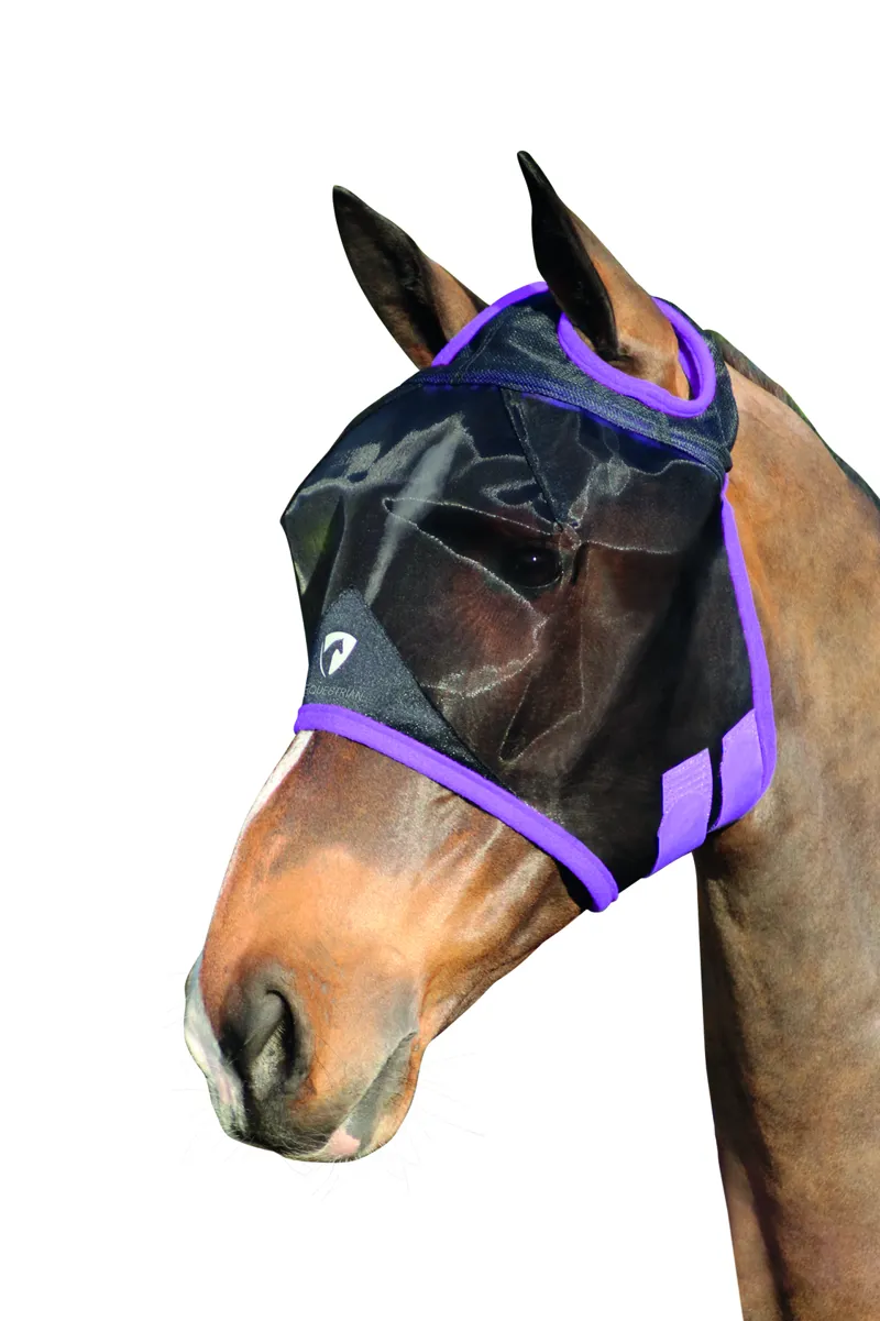 Hy Equestrian Mesh Half Mask Without Ears - Black/Grape Royal